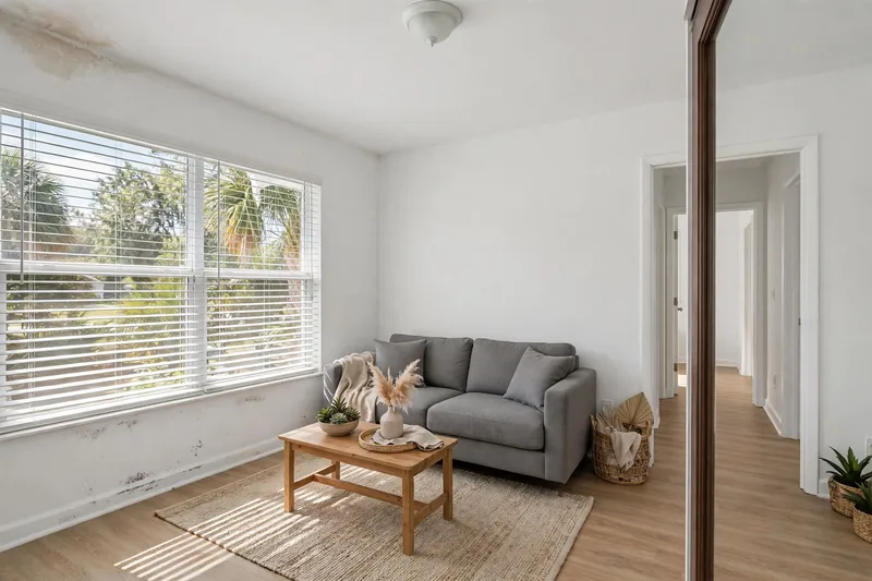 Illustration of a living room with dark mold spots on the wall under the window and a stain on the ceiling